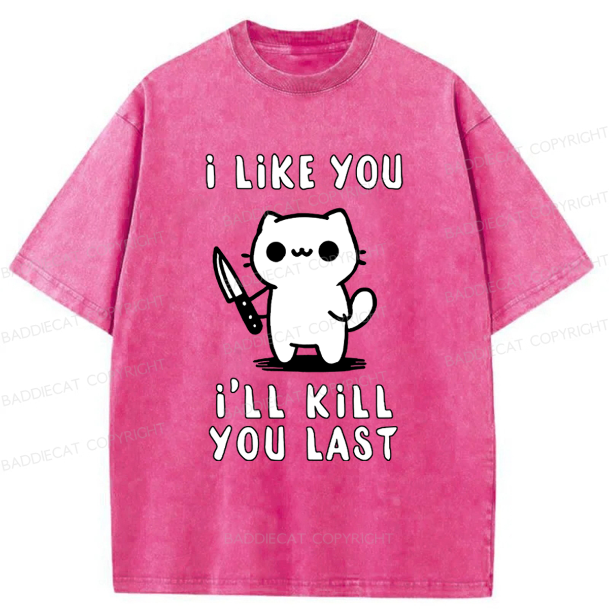 Baddiecat Cat I Like You I'll Kill You Last Washed T-shirt