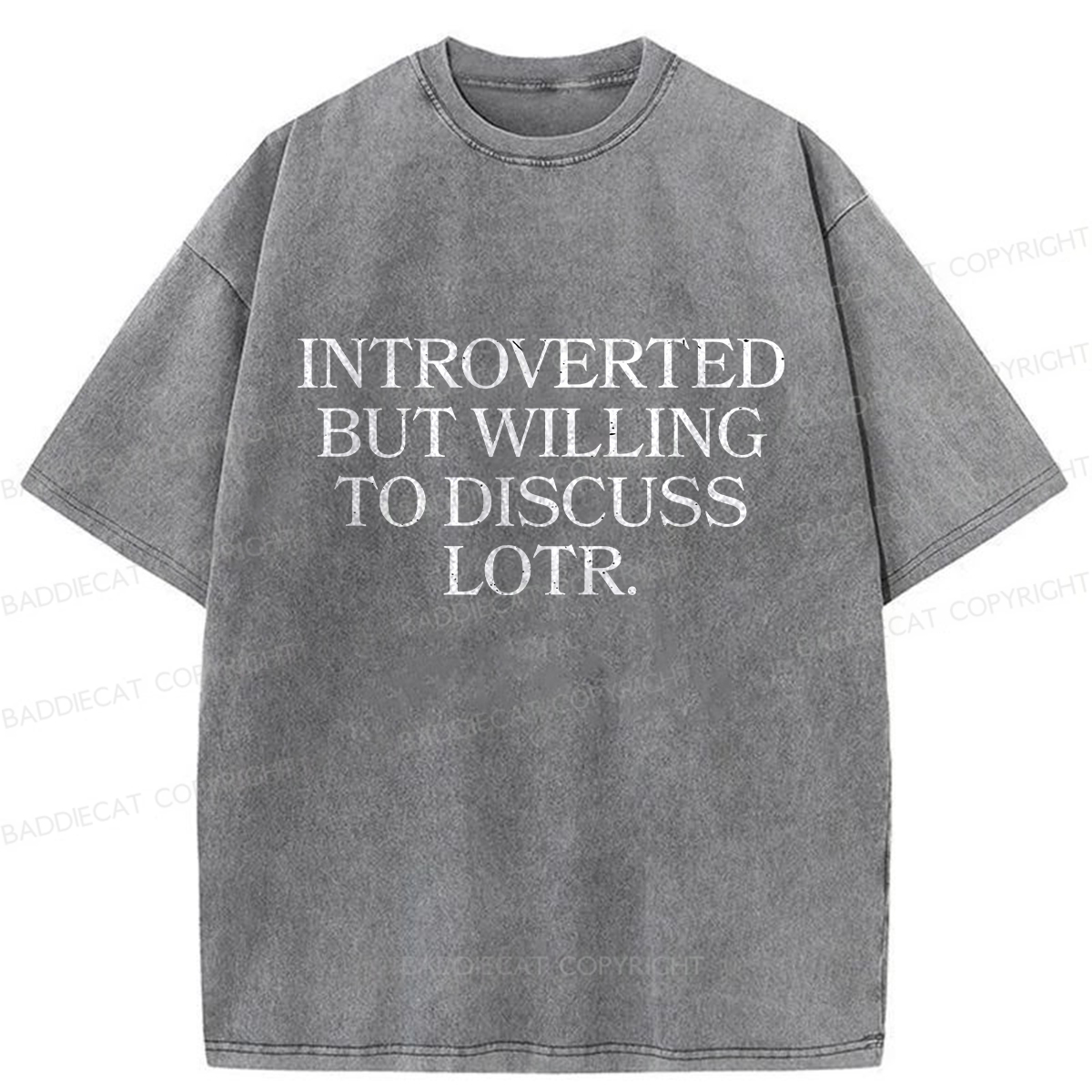 Baddiecat Introverted But Willing To Discuss Lotr Washed T-Shirt