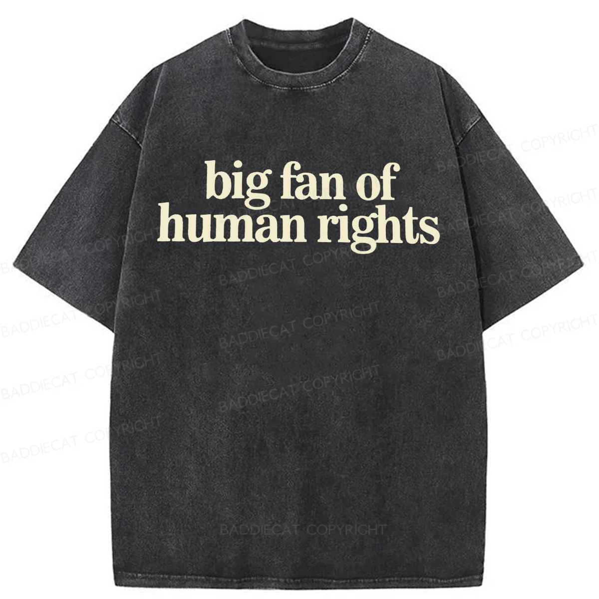 Baddiecat Human Rights Washed T-shirt