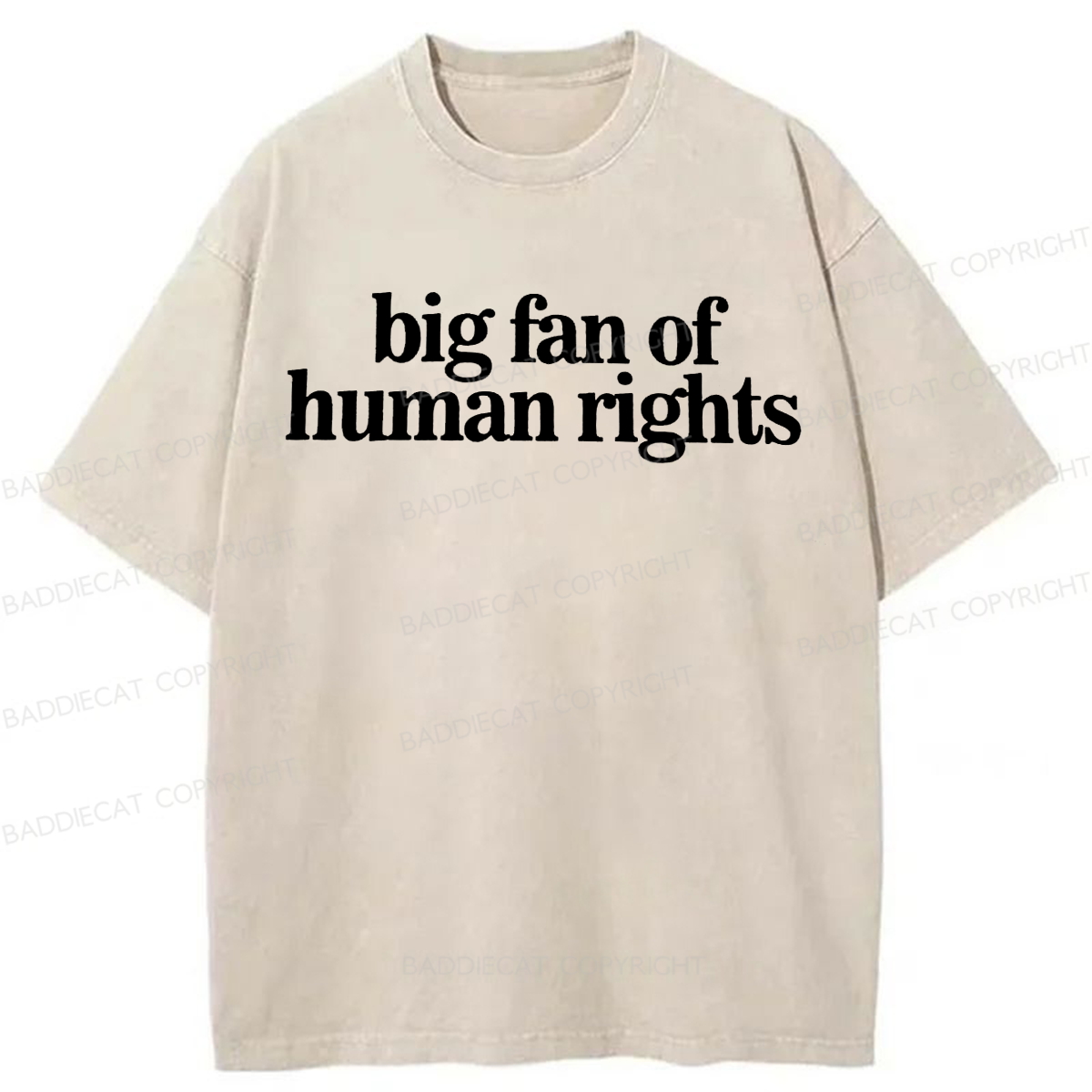 Baddiecat Human Rights Washed T-shirt
