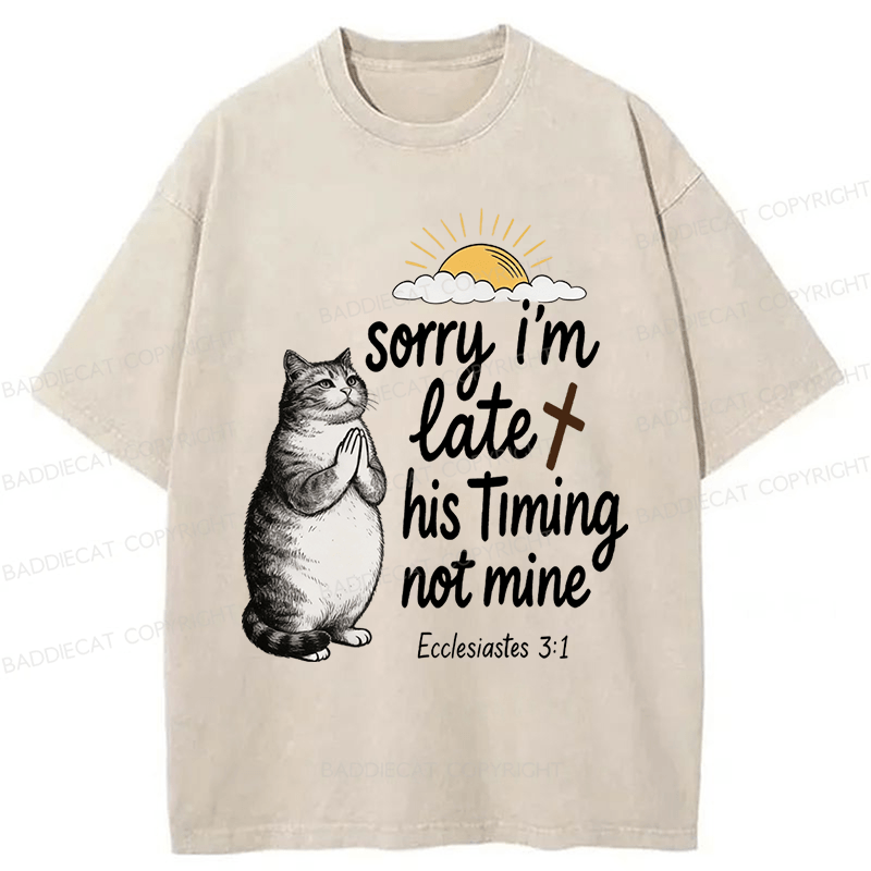 Baddiecat God's Timing Not Mine Washed T-shirt