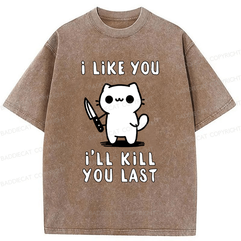Baddiecat Cat I Like You I'll Kill You Last Washed T-shirt