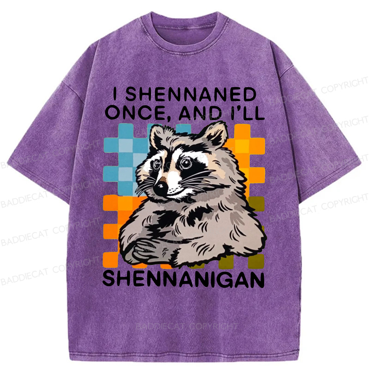 Baddiecat I Shennaned Once And I'll Shennanigan Funny Raccoon Washed T-shirt
