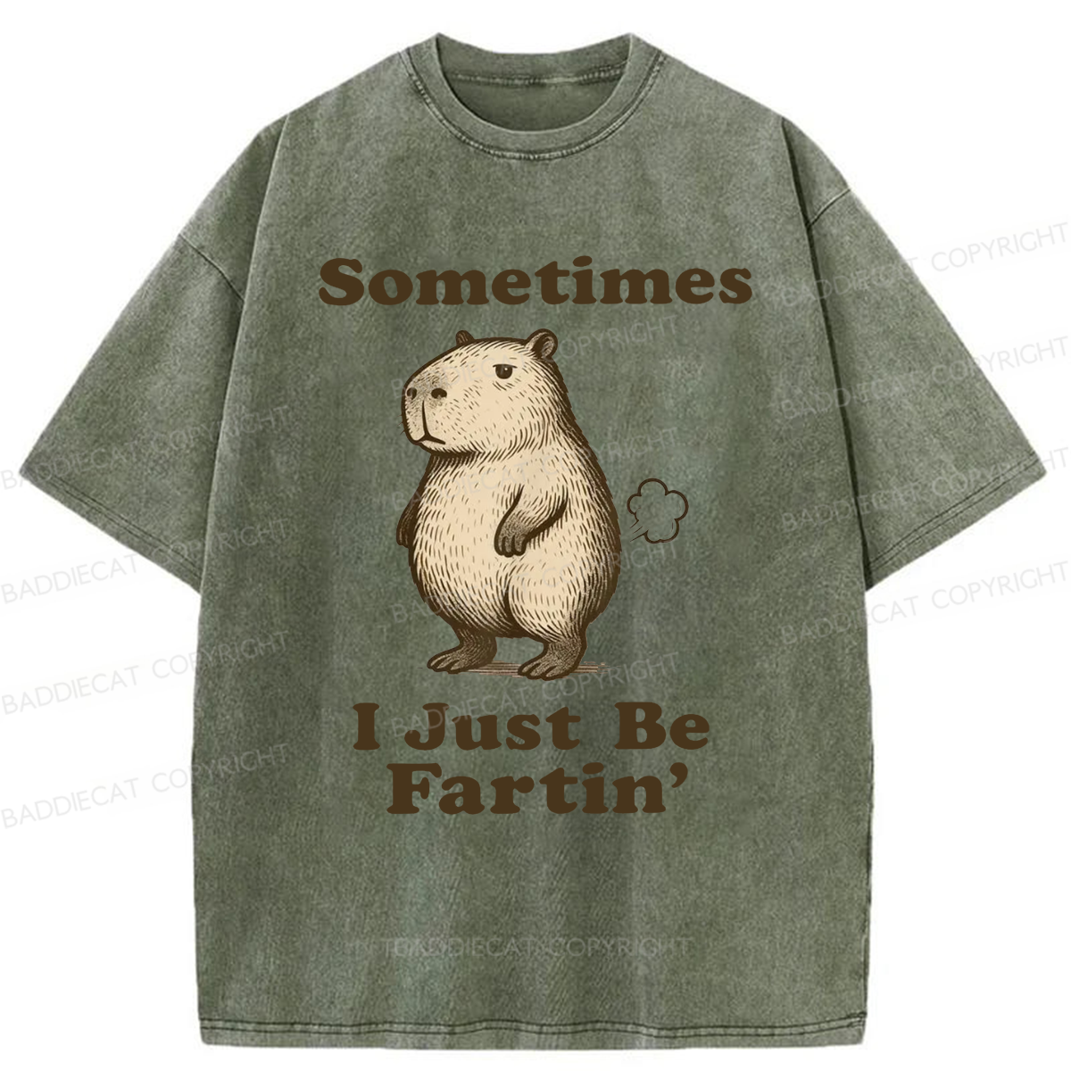 Baddiecat Sometimes I Just Be Fartin' Capibara Washed T-shirt