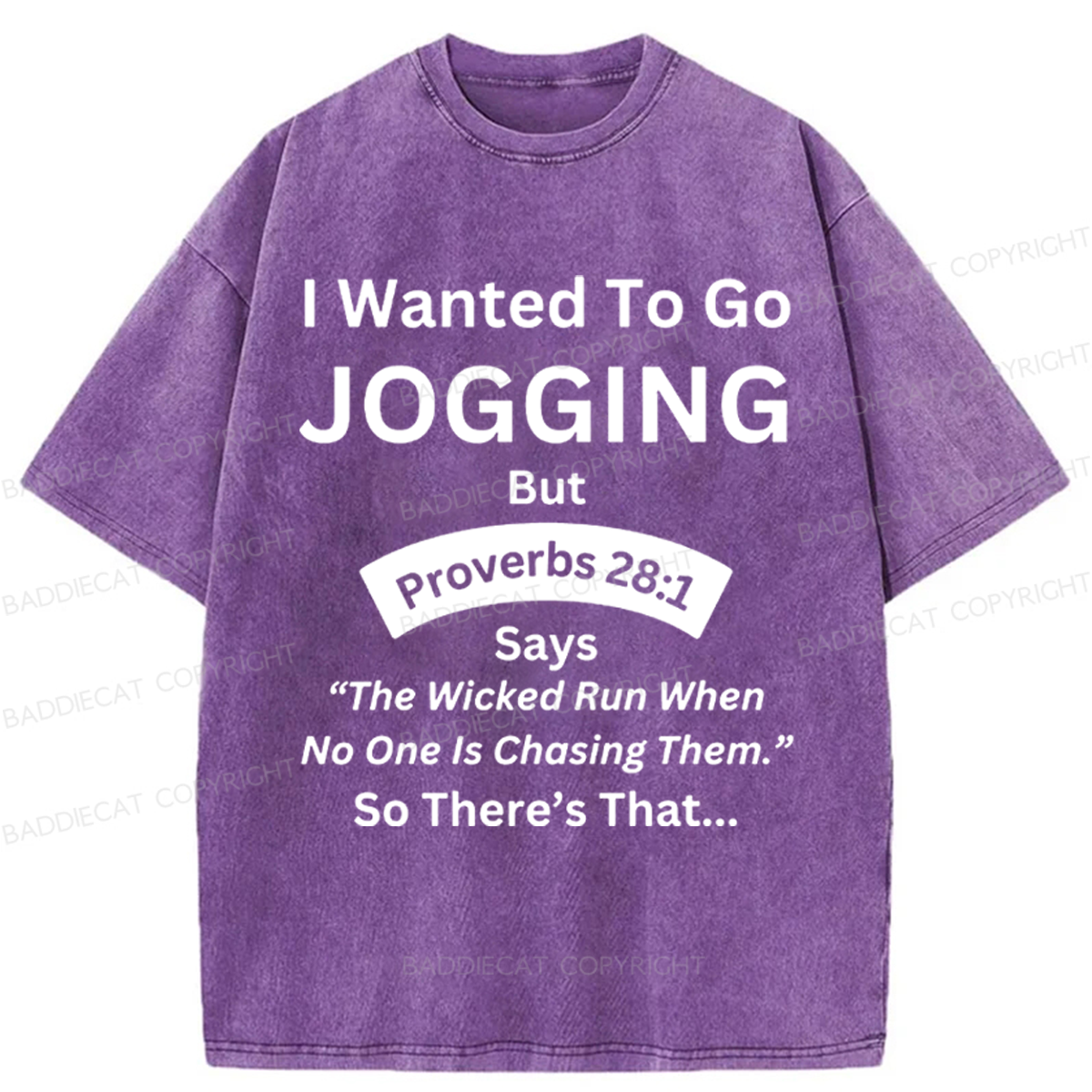 Baddiecat Proverbs Washed T-shirt
