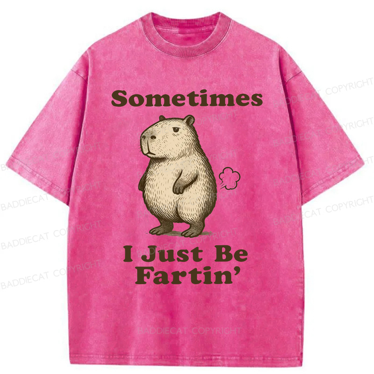 Baddiecat Sometimes I Just Be Fartin' Capibara Washed T-shirt