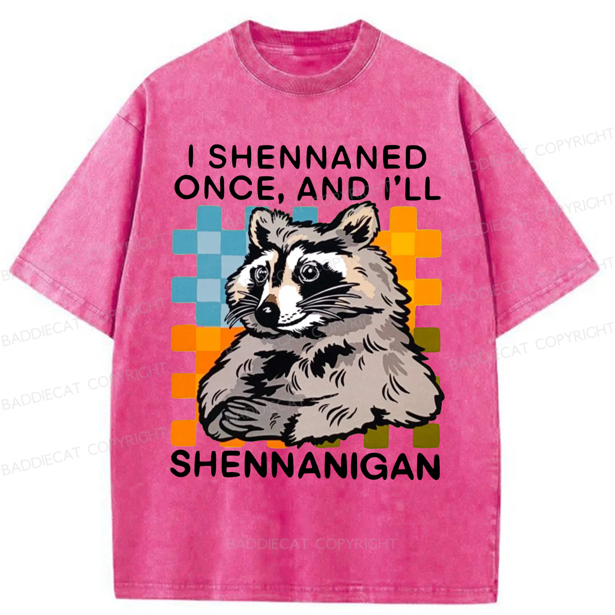 Baddiecat I Shennaned Once And I'll Shennanigan Funny Raccoon Washed T-shirt