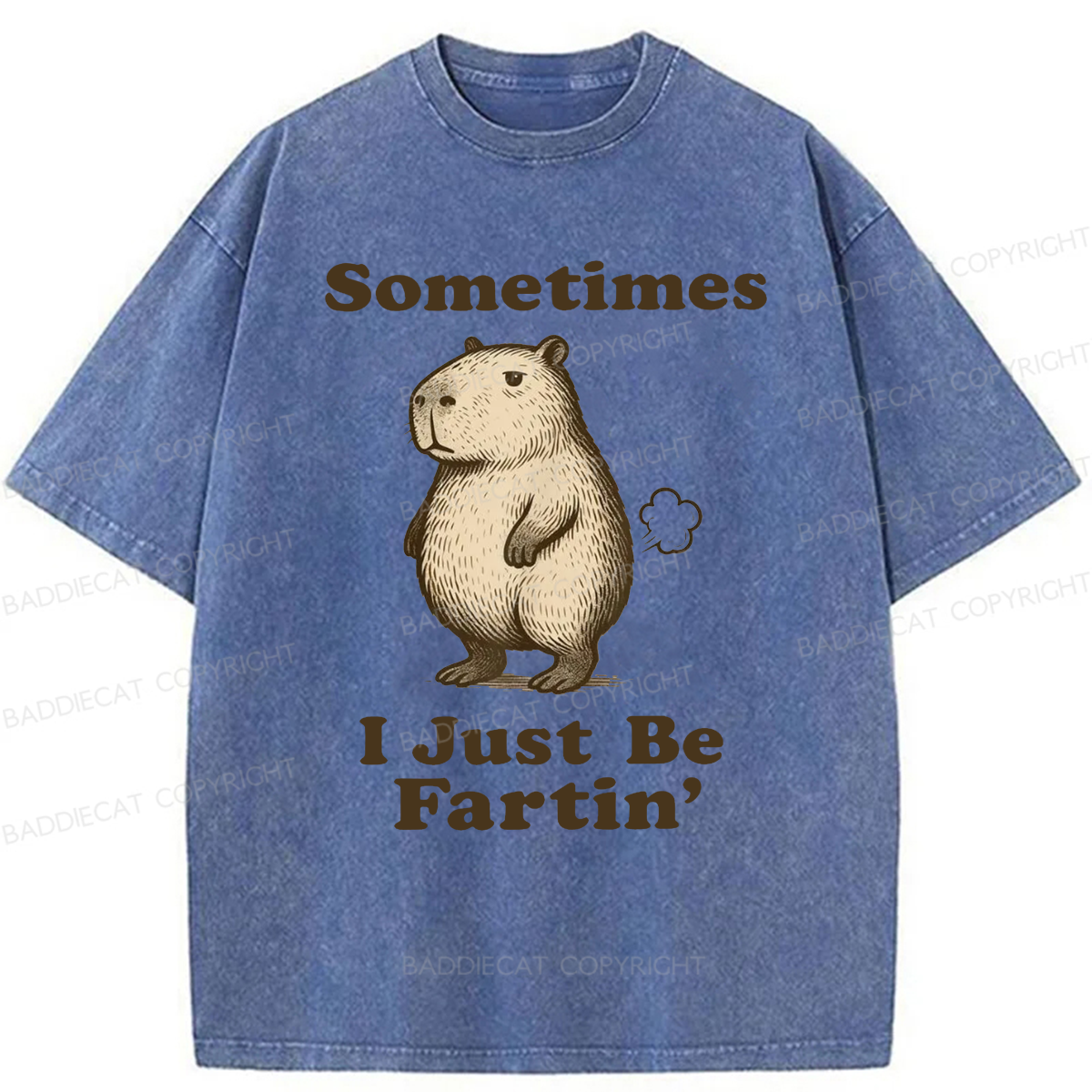 Baddiecat Sometimes I Just Be Fartin' Capibara Washed T-shirt