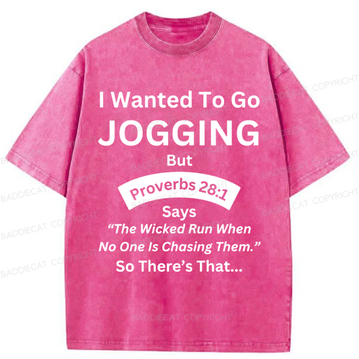 Baddiecat Proverbs Washed T-shirt