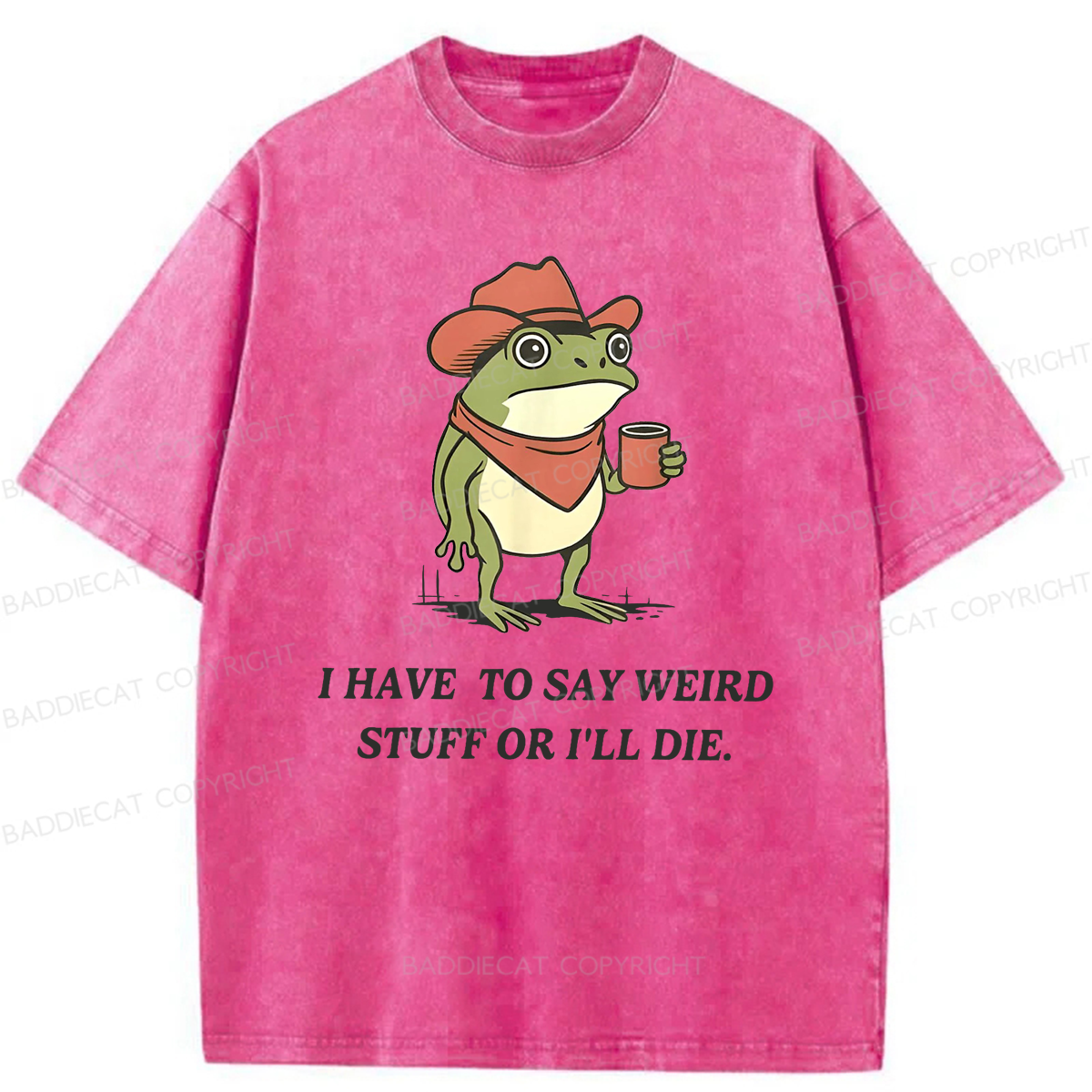 Baddiecat I Have To Say Weird Stuff Or I'll Die Washed T-shirt