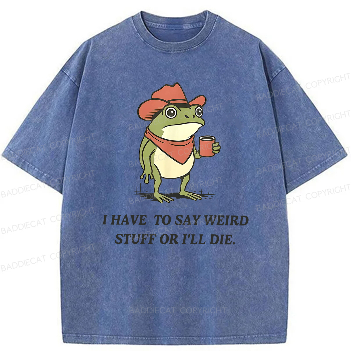 Baddiecat I Have To Say Weird Stuff Or I'll Die Washed T-shirt