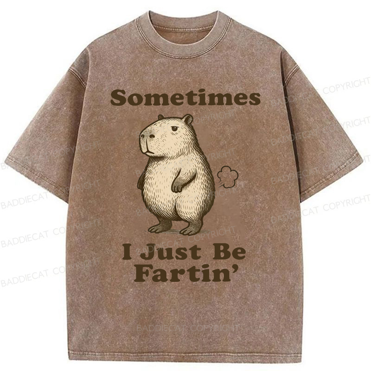Baddiecat Sometimes I Just Be Fartin' Capibara Washed T-shirt