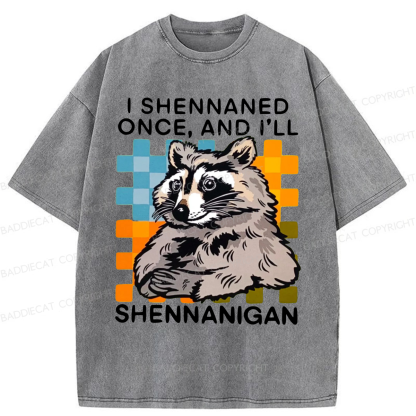 Baddiecat I Shennaned Once And I'll Shennanigan Funny Raccoon Washed T-shirt