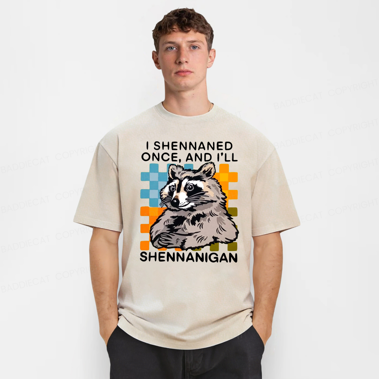 Baddiecat I Shennaned Once And I'll Shennanigan Funny Raccoon Washed T-shirt