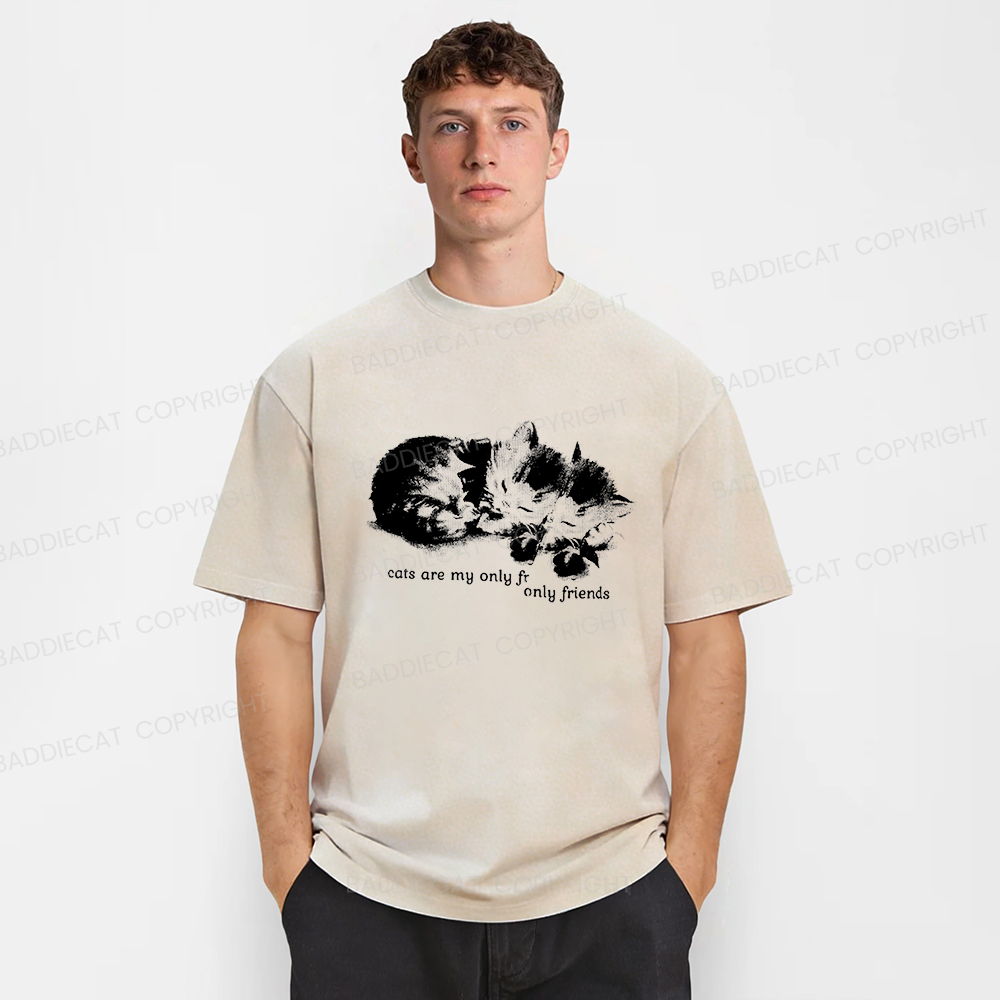 Baddiecat Cats Are My Only Friends Washed T-Shirt