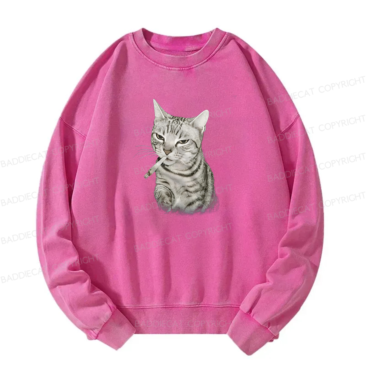 Smoking Cat Meme Washed Sweatshirt