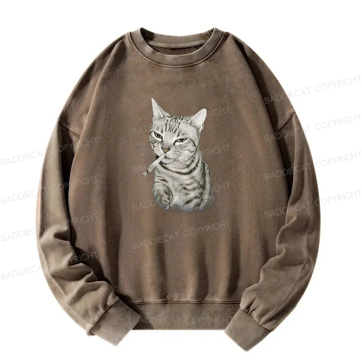 Smoking Cat Meme Washed Sweatshirt