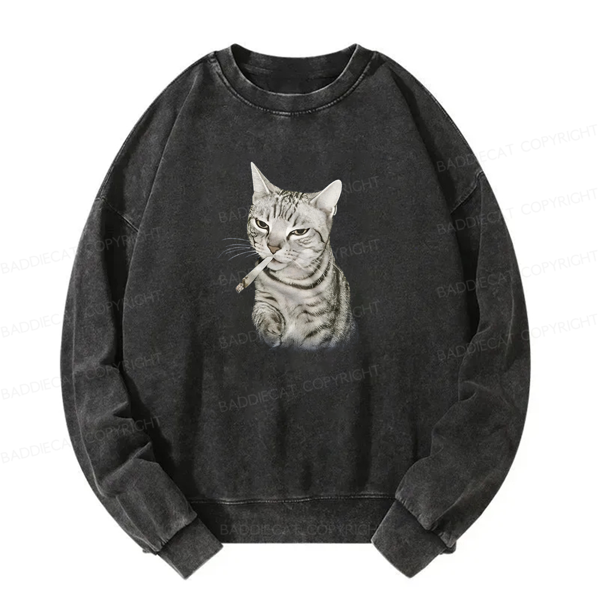 Smoking Cat Meme Washed Sweatshirt