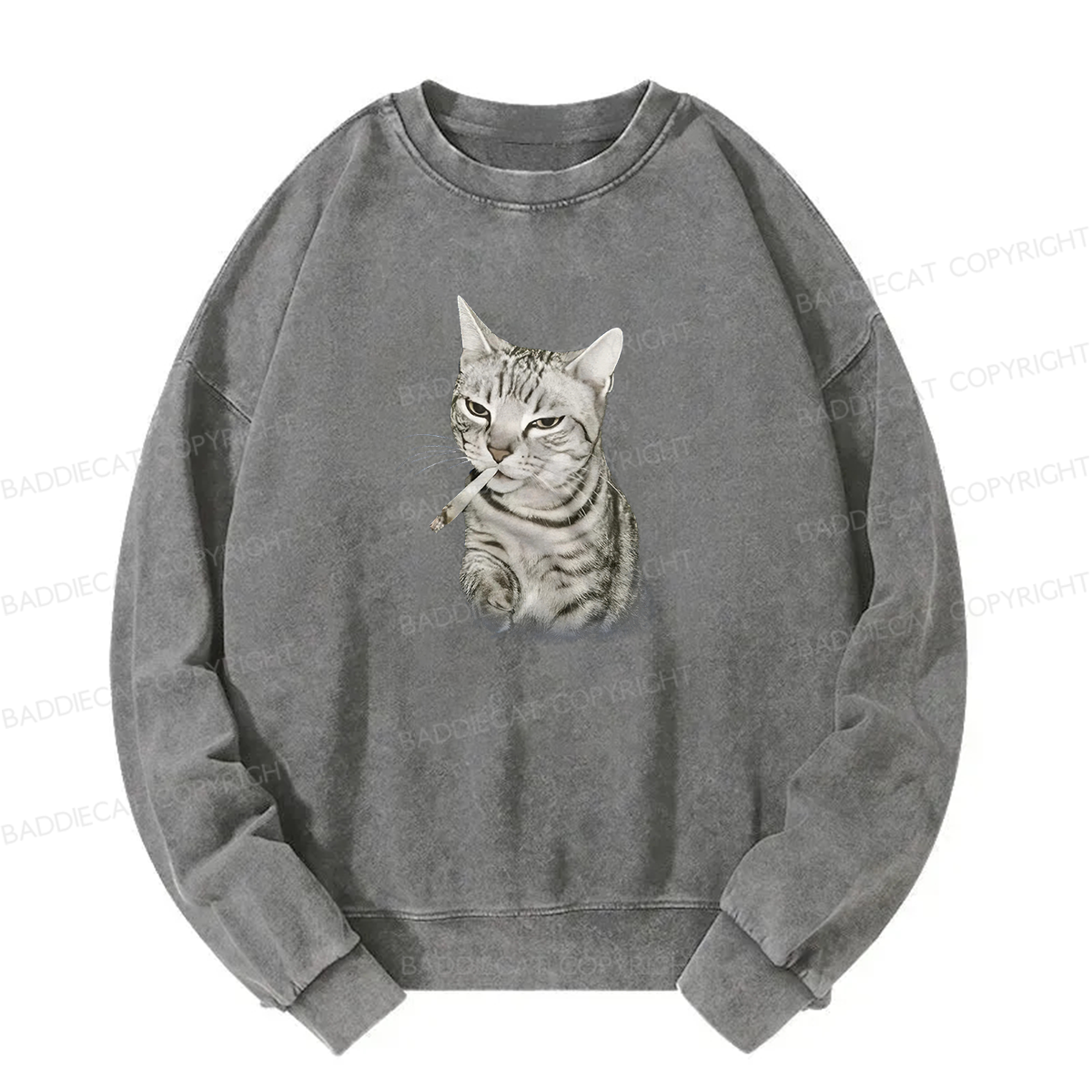 Smoking Cat Meme Washed Sweatshirt