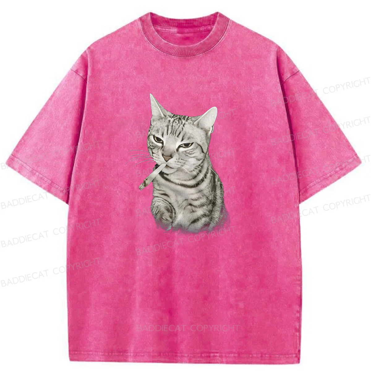 Smoking Cat Meme Washed T-shirt