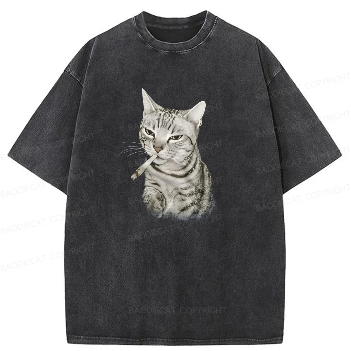 Smoking Cat Meme Washed T-shirt