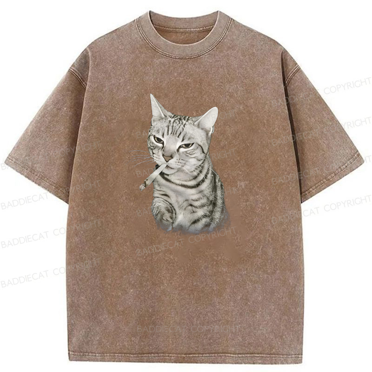 Smoking Cat Meme Washed T-shirt