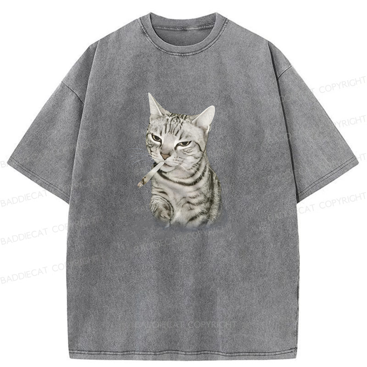 Smoking Cat Meme Washed T-shirt