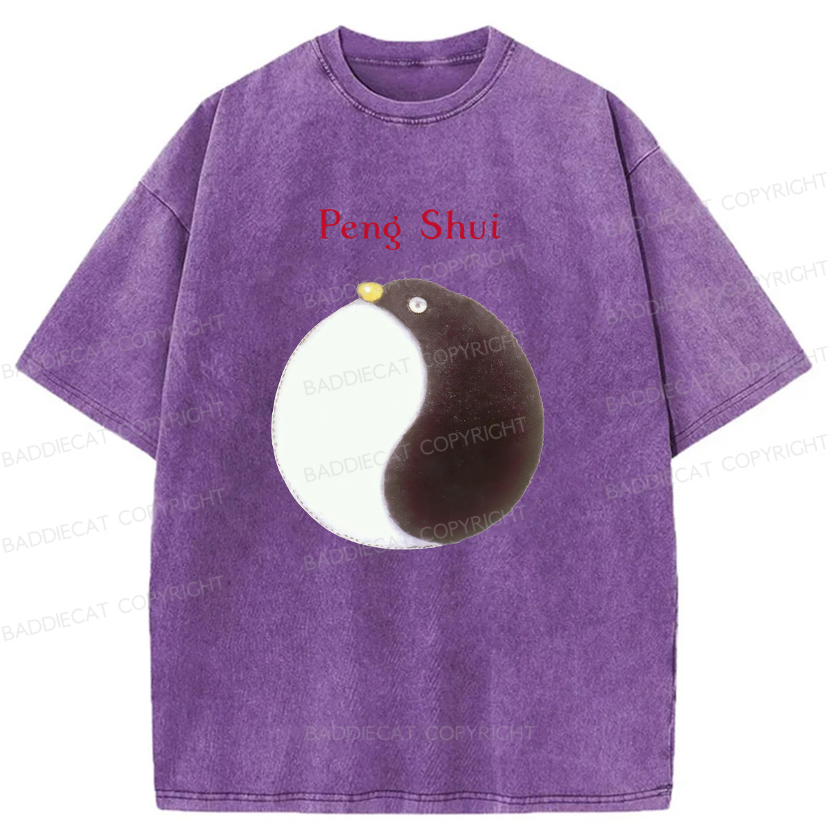 Peng Shui Washed T-Shirt