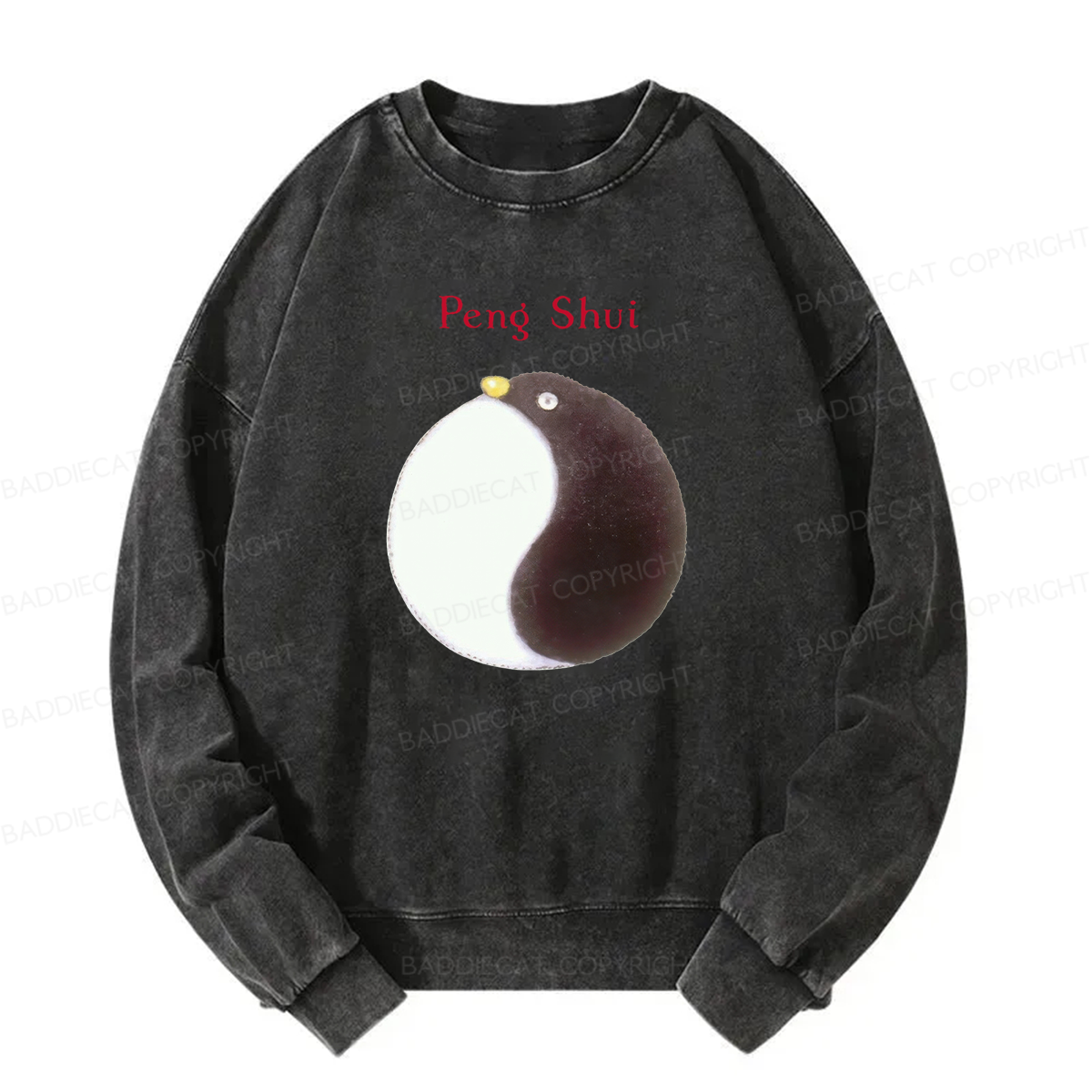 Peng Shui Washed Sweatshirt