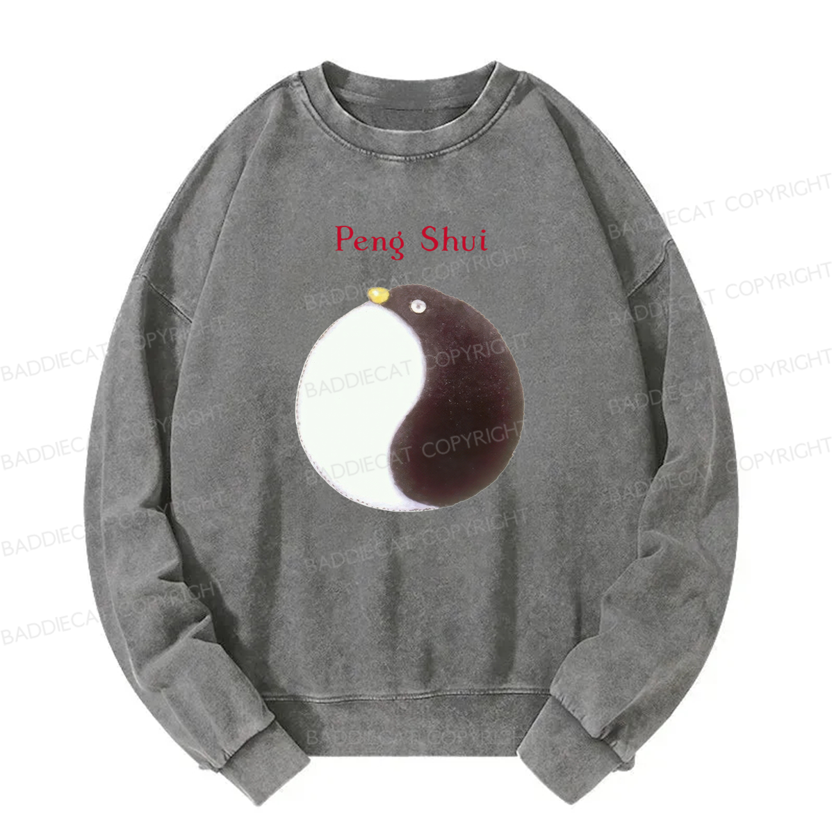 Peng Shui Washed Sweatshirt