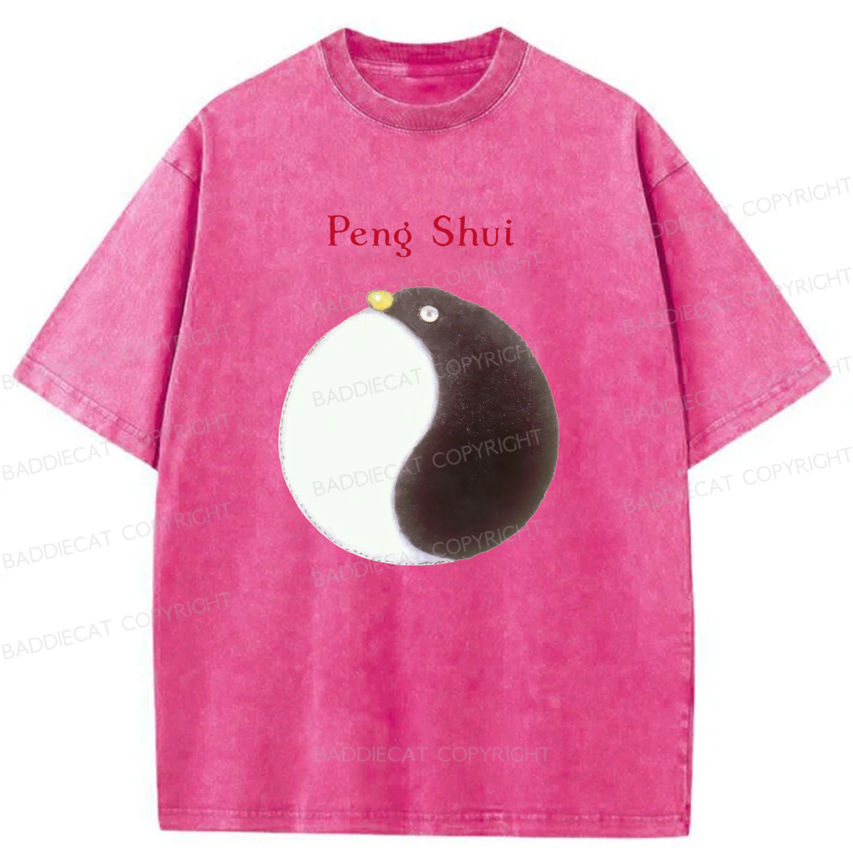 Peng Shui Washed T-Shirt