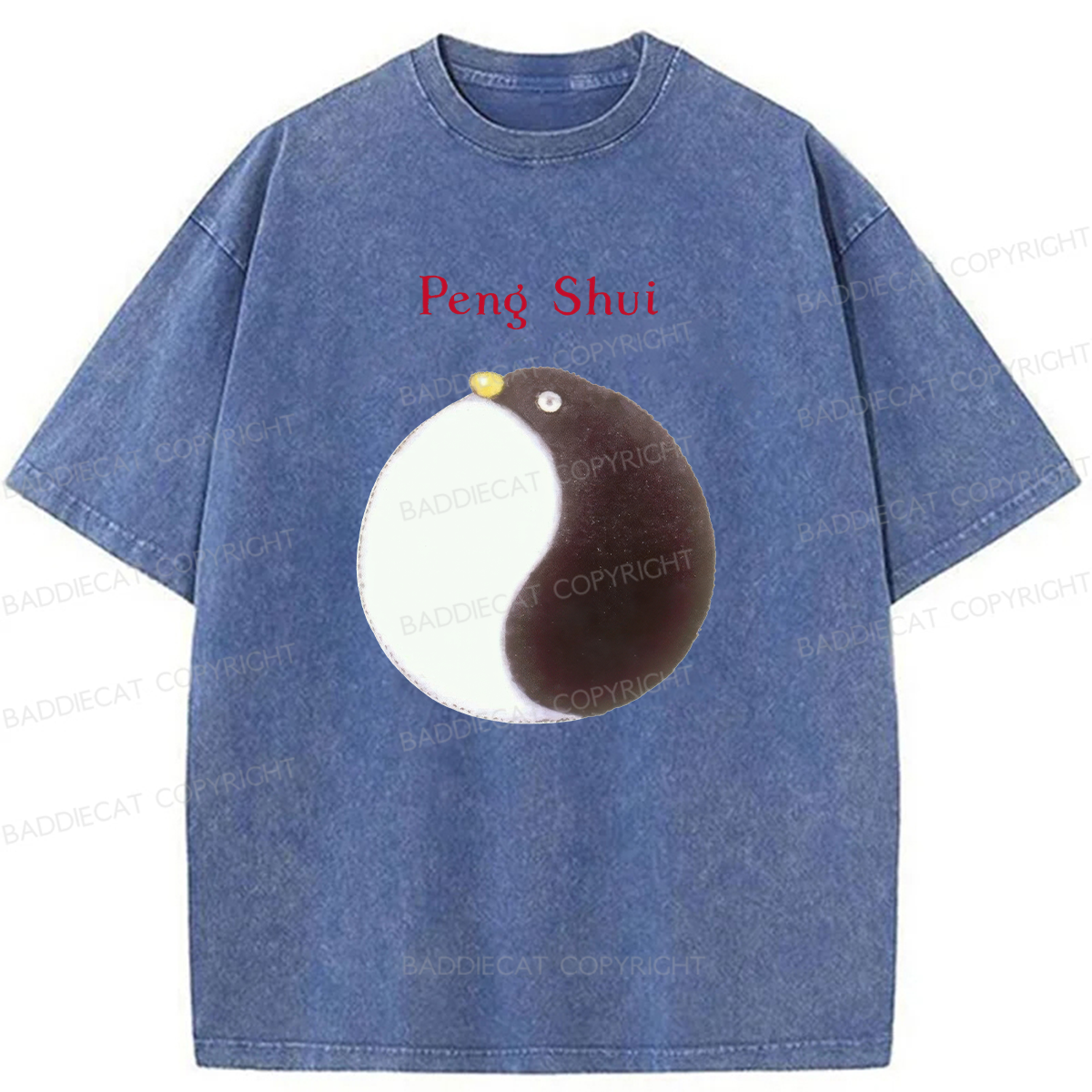 Peng Shui Washed T-Shirt