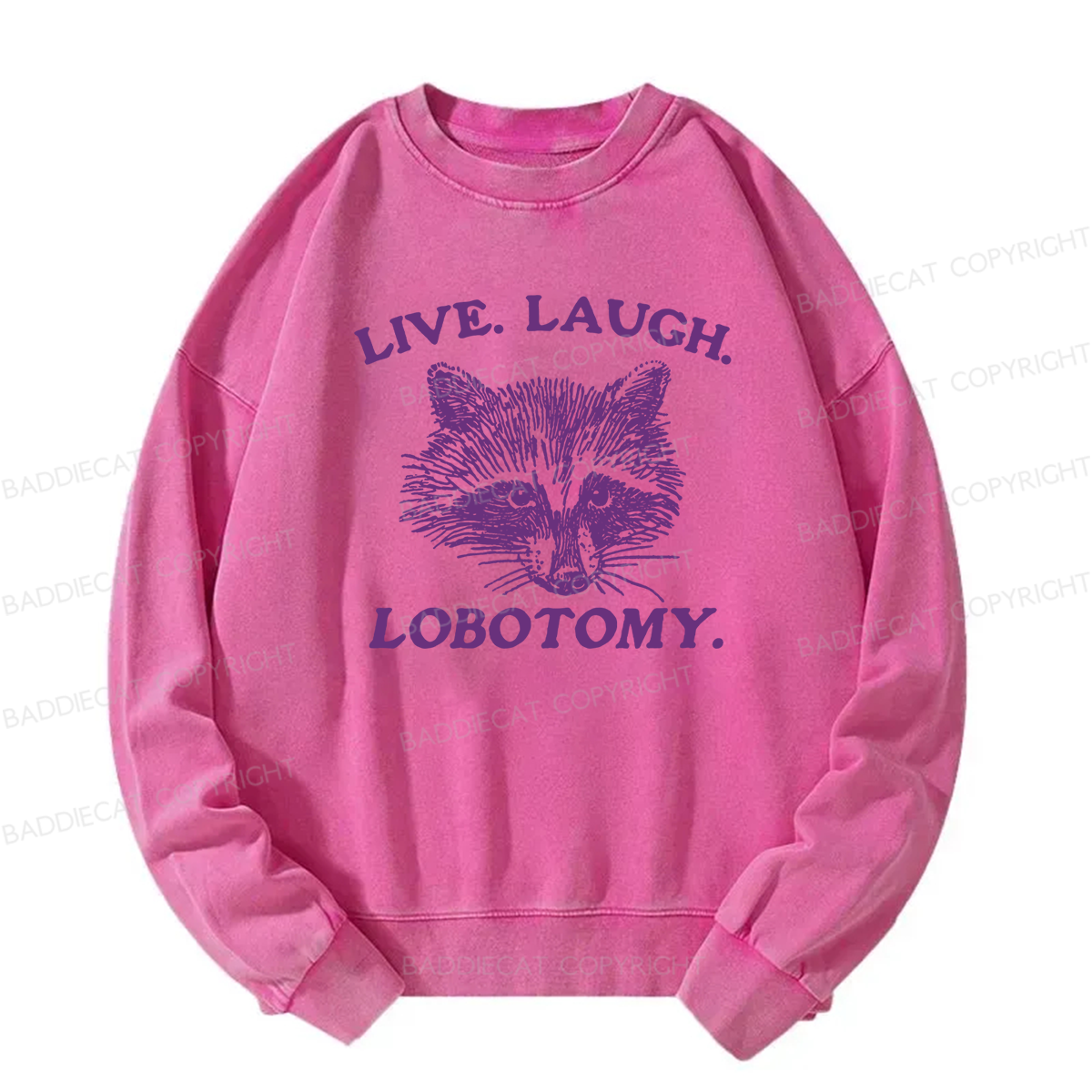Live Laugh Lobotomy Washed Sweatshirt