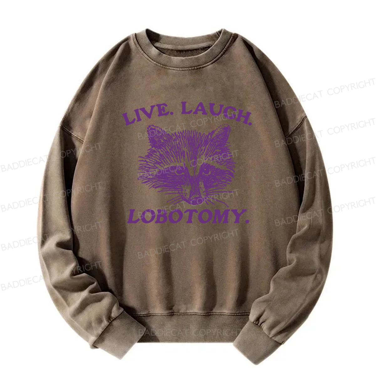 Live Laugh Lobotomy Washed Sweatshirt