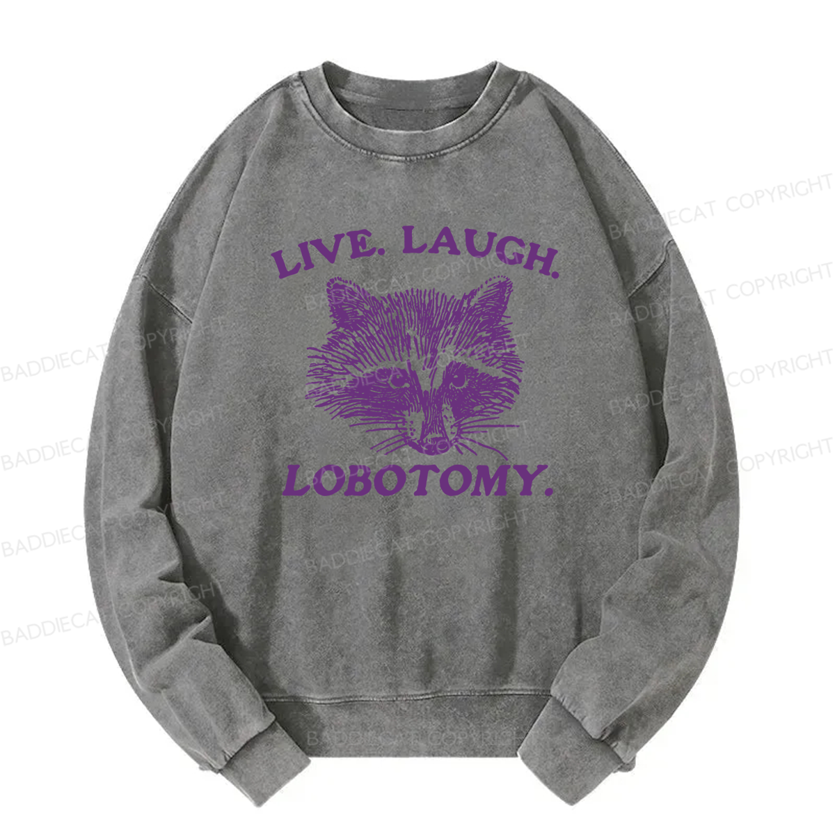 Live Laugh Lobotomy Washed Sweatshirt