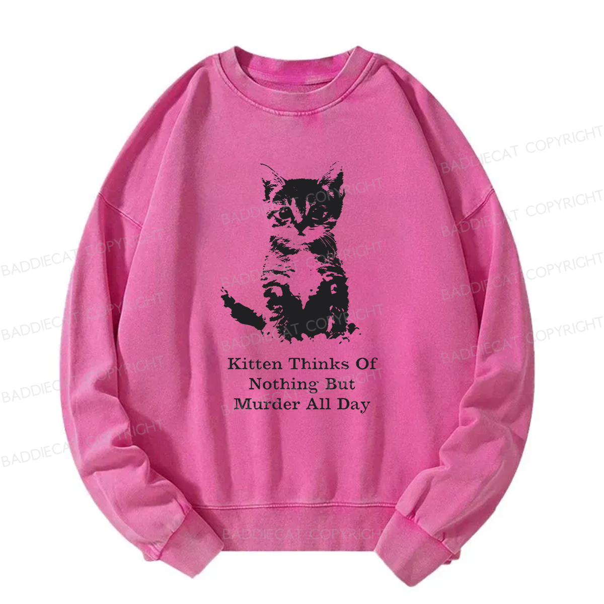 Kitten Thinks Of Nothing But Murder All Day Washed Sweatshirt