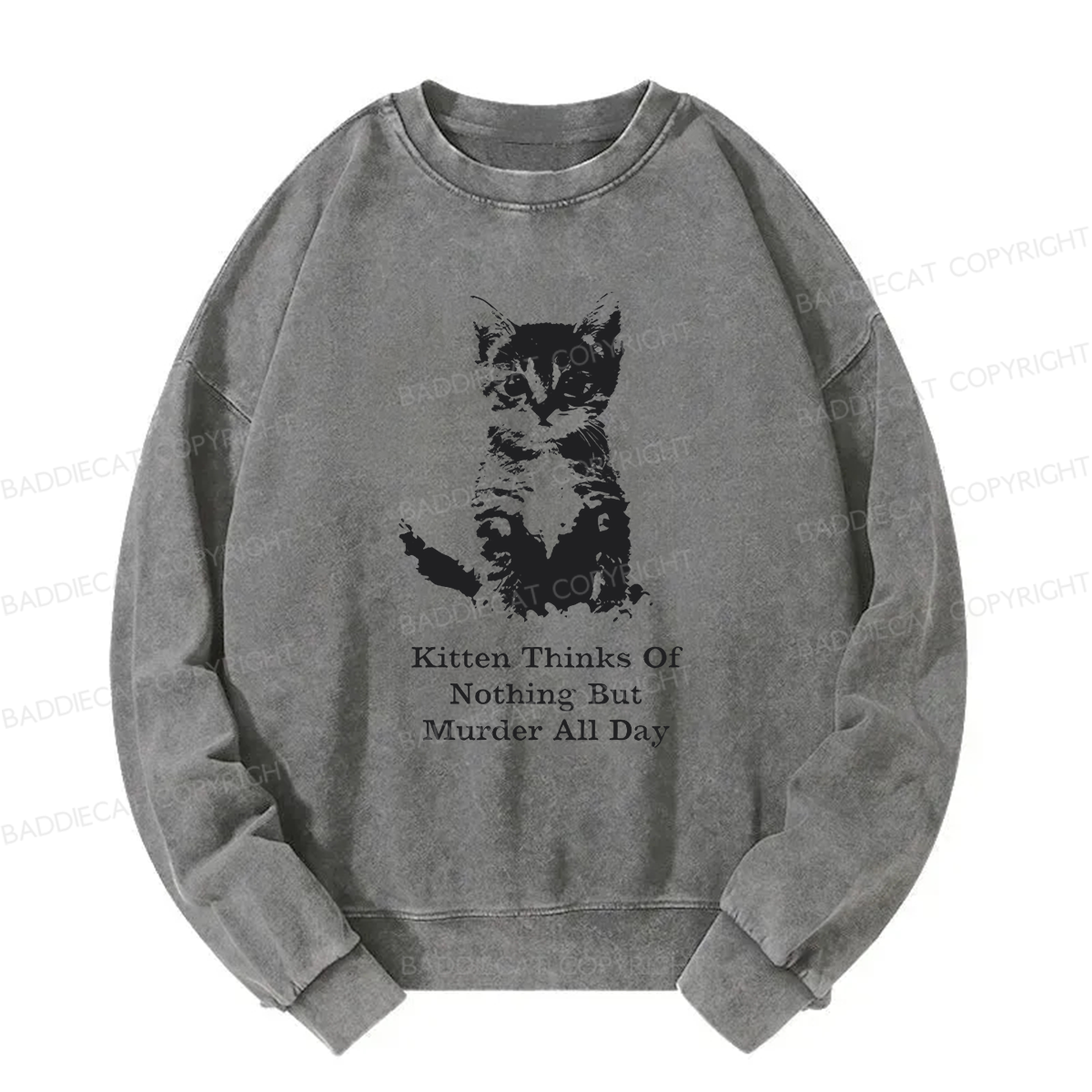 Kitten Thinks Of Nothing But Murder All Day Washed Sweatshirt