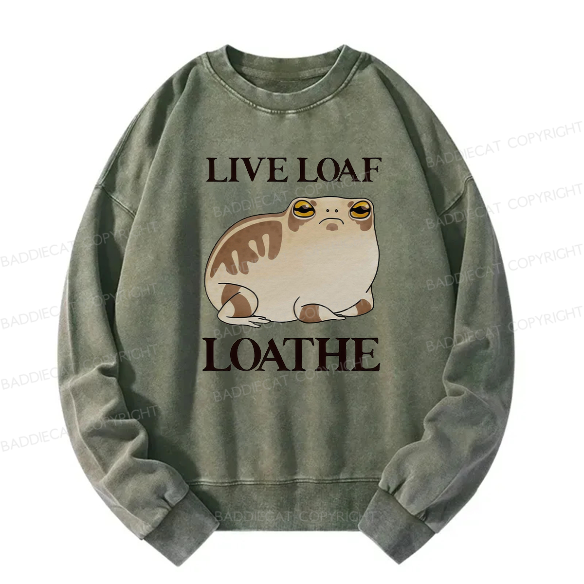 Live Loaf Loathe Frog Washed Sweatshirt