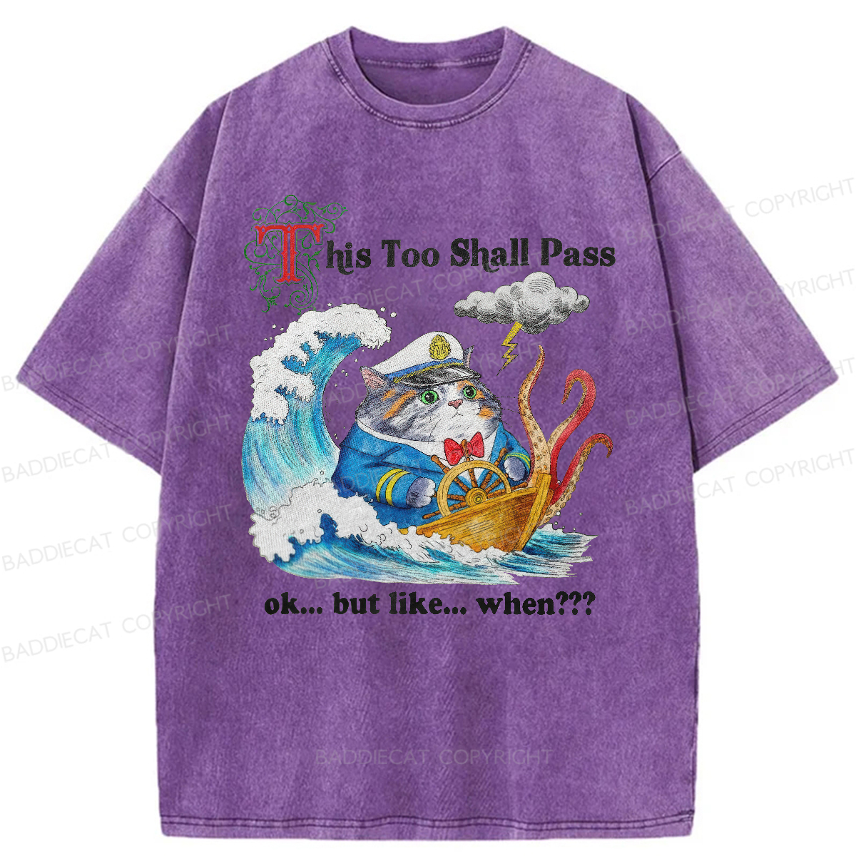 Baddiecat This Too Shall Pass Washed T-Shirt