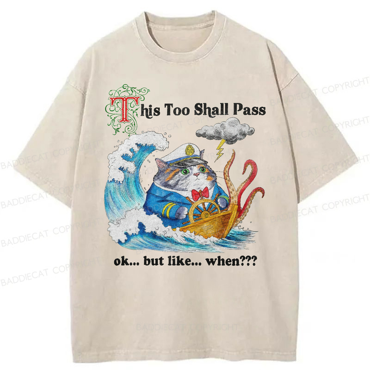 Baddiecat This Too Shall Pass Washed T-Shirt