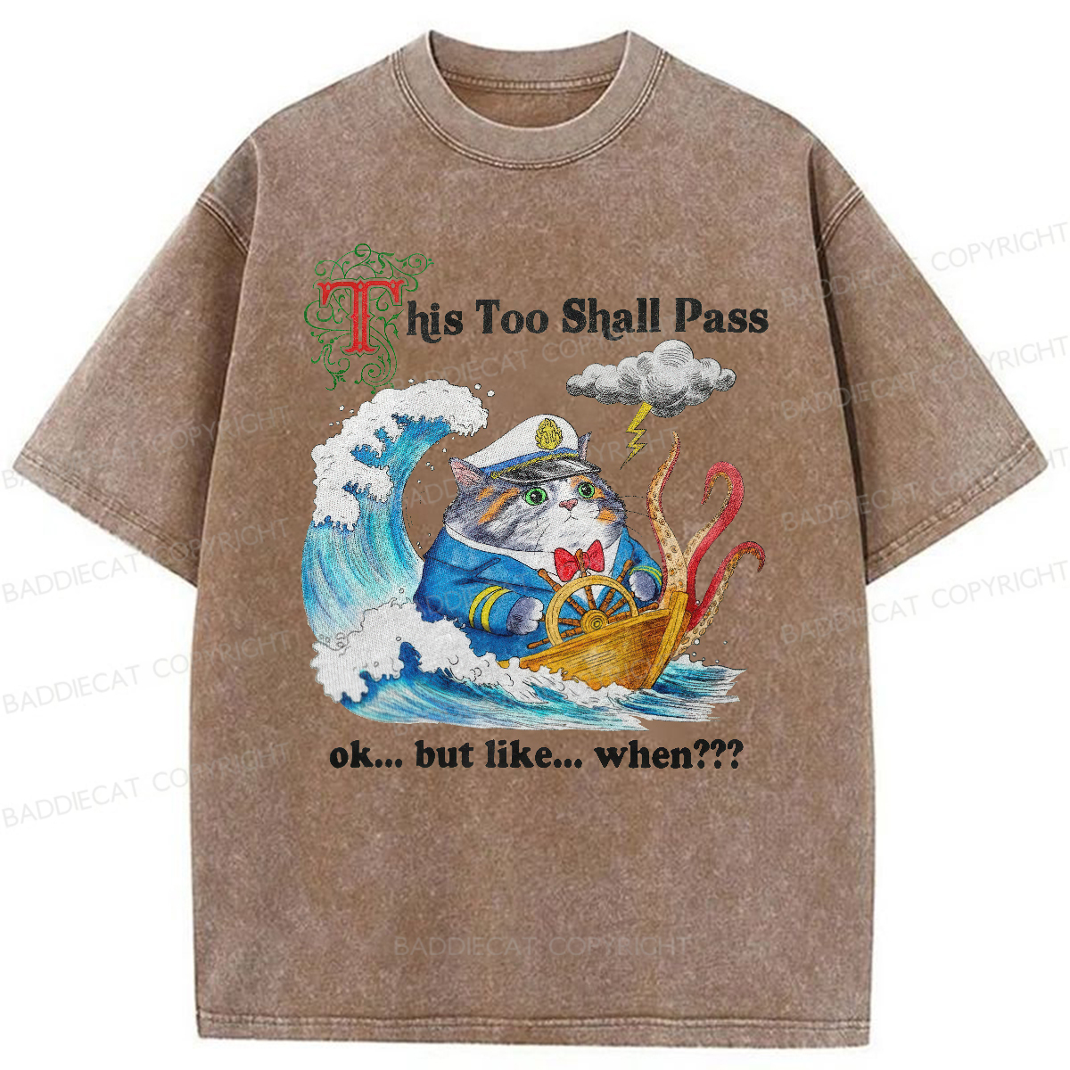 Baddiecat This Too Shall Pass Washed T-Shirt