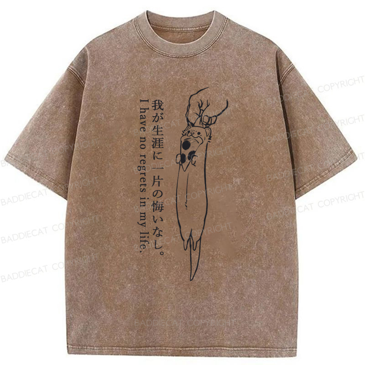 Baddiecat I Have No Regrets In My Life Washed T-Shirt