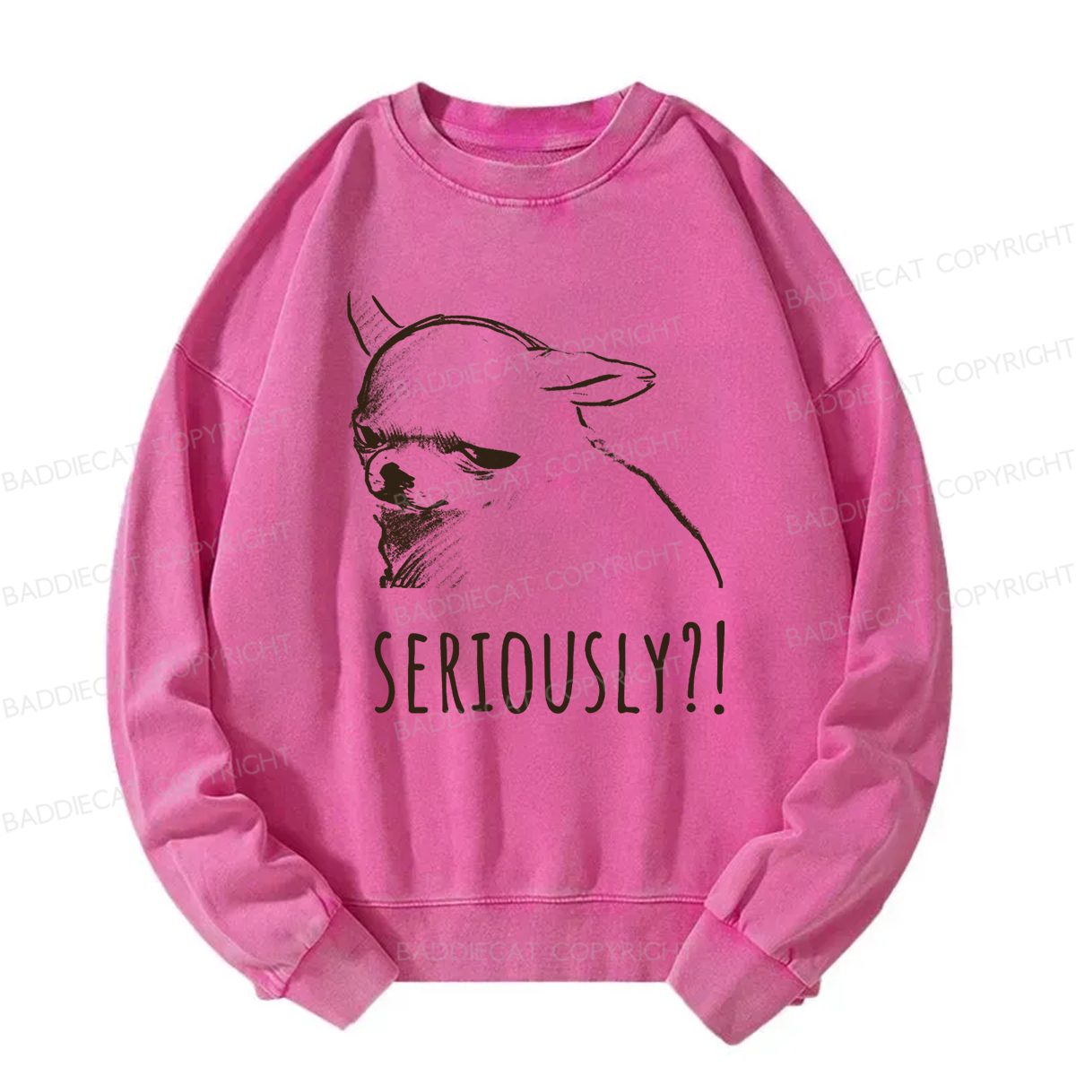 Baddiecat Seriously Washed Sweatshirt
