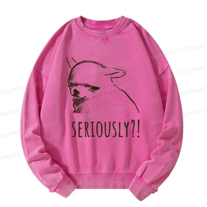 Baddiecat Seriously Washed Sweatshirt