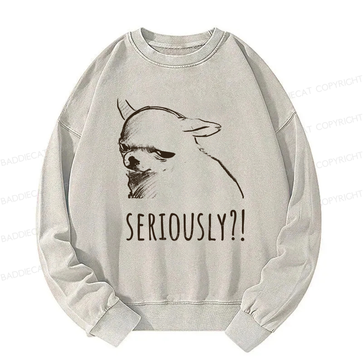 Baddiecat Seriously Washed Sweatshirt