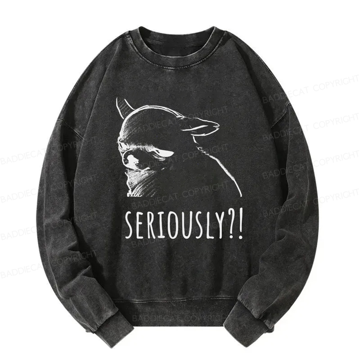 Baddiecat Seriously Washed Sweatshirt