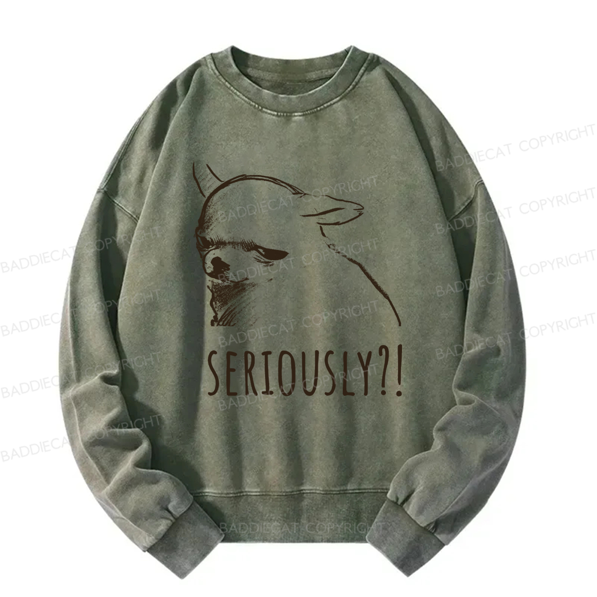 Baddiecat Seriously Washed Sweatshirt