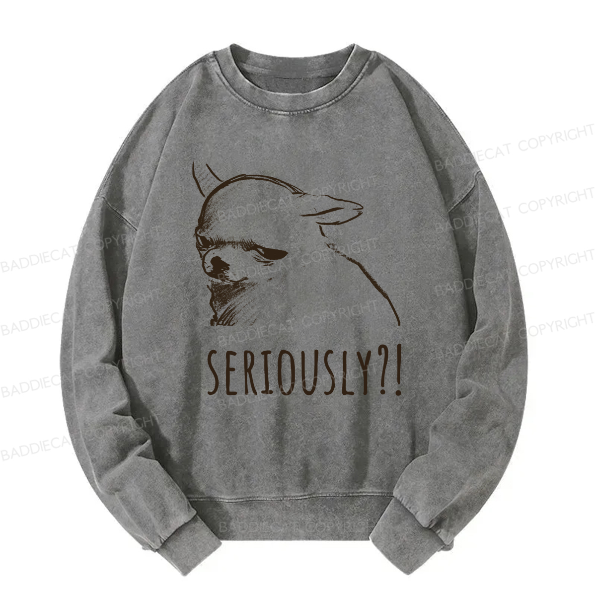 Baddiecat Seriously Washed Sweatshirt