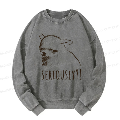 Baddiecat Seriously Washed Sweatshirt
