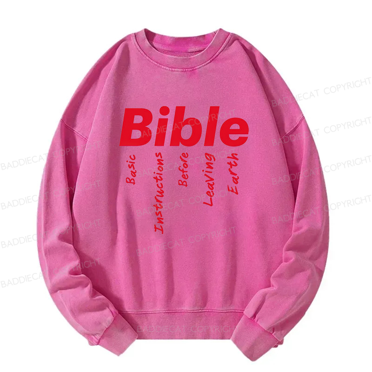 Baddiecat Bible Basic Instructions Before Leaving Earth Washed Sweatshirt